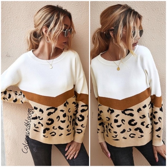 Leopard Print Crew Neck Sweater - Picture 2 of 7